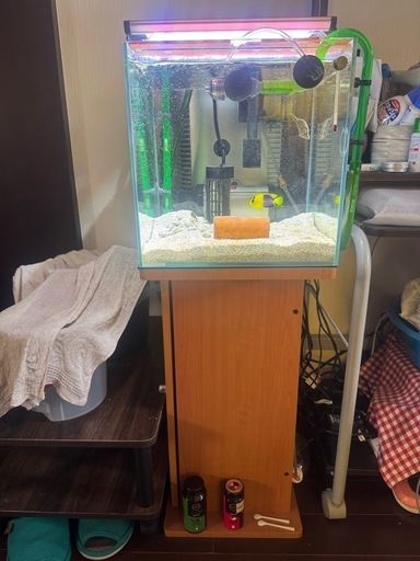 海水魚など水槽機材一式
