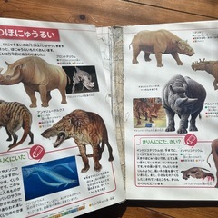 差し上げます　図鑑　きょうりゅうの画像