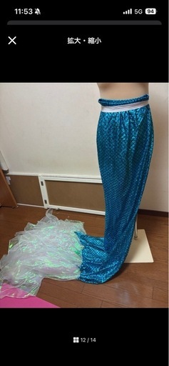マーメイド　人魚　コスプレ　衣装　ビキニ　ベリーダンス　石垣島　佐渡島　パール　シルバー
