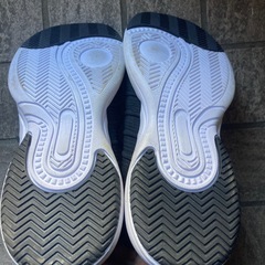 ワークマン　27センチ　スニーカーの画像