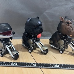 アニマルライダーの画像