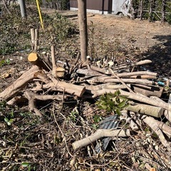 薪、伐採木、廃材の画像