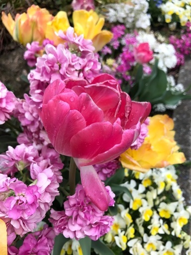 ありがとうございました。