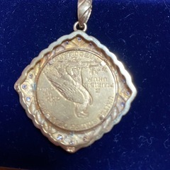 インディアンコイントップの画像