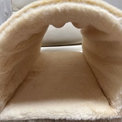 猫　トンネル　ベッド　ふわふわの画像