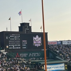 関東在住のタイガースファンの友達募集！