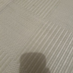 い草風カーペット（PPカーペット）の画像