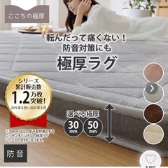 訳あり極厚ラグ185cm×240cmの画像