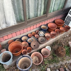 植木鉢の画像