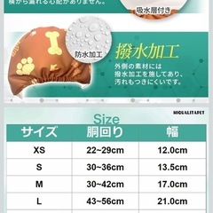 マナーベルトの画像