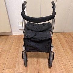 歩行者リトルターンH   の画像