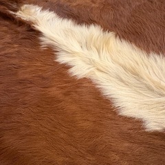 本革　牛の毛皮　敷物の画像