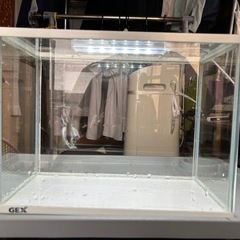 小型水槽セットの画像