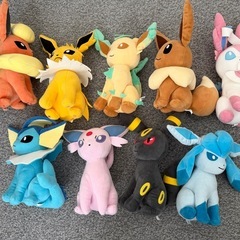 ポケモンぬいぐるみセットの画像