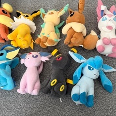 ポケモンぬいぐるみセットの画像