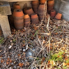 【受け渡し者決定しました】植木鉢 大量の画像