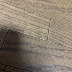 2/21〆切 美品 ホットカーペット 118×45cm の画像