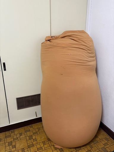 yogibo zoola max