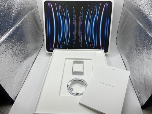 Apple iPad Pro 12.9インチ 第６世代 256GB wifi+cellularモデル #mon293