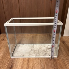 水槽 30cm 淡水魚 熱帯魚 メダカの画像