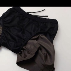 ノースフェイス　水陸両用パンツ　タグ付きの画像