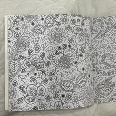 塗り絵4枚セットの画像