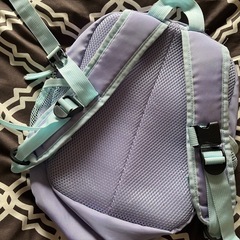 アナ雪リュックの画像