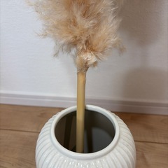 パンパスグラス　　全長約100cmの画像