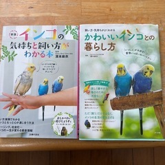 鳥かごの画像