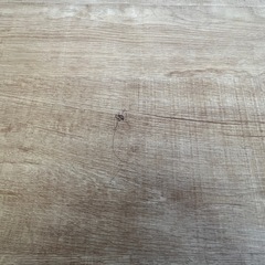 3月18日までの公開　テレビボードの画像