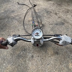 ビーノバーハンの画像