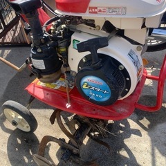 ヤンマーの画像