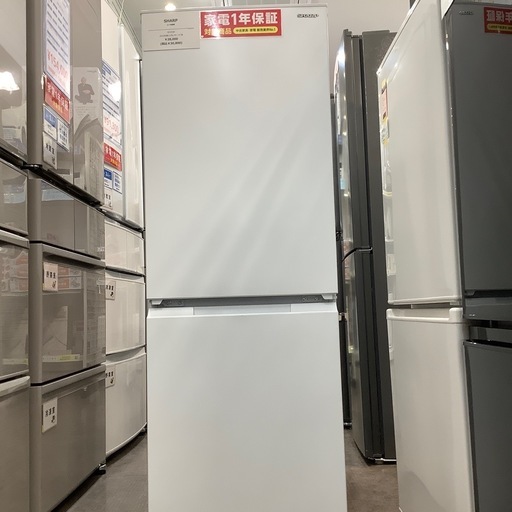 【1年間の保証付き！】SHARP 2ドア冷蔵庫入荷しました！