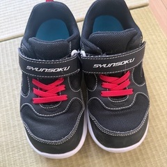 メガロス　ミライク一式の画像