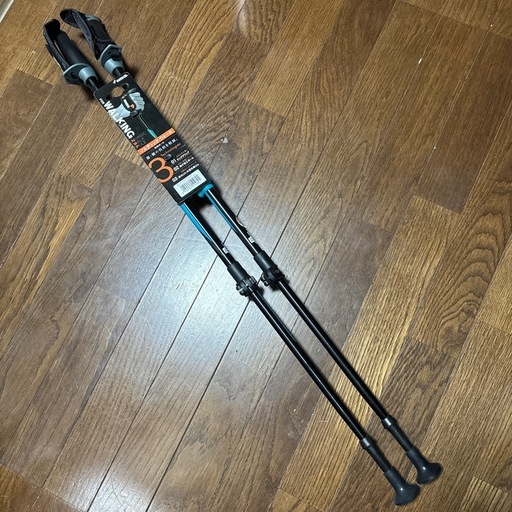 ノルディックウォーク