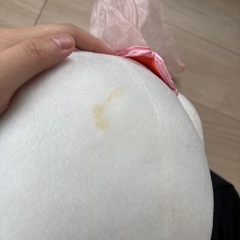 ディズニーシー　ゲーム景品　5周年限定デイジーの画像