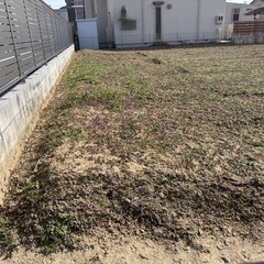 畑土あげます。家庭菜園などにお使いください
の画像