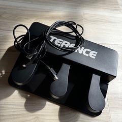 TERENCE 電子ピアノの画像