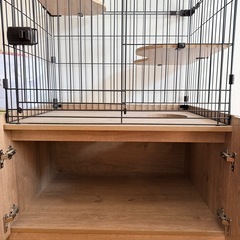 猫ゲージの画像