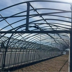 【残り1棟／農繁期前ラスト】  約35m × 5.3m の大型ビニールハウス の画像