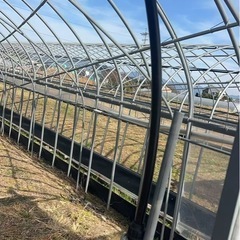 【残り1棟／農繁期前ラスト】  約35m × 5.3m の大型ビニールハウス の画像