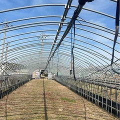【残り1棟／農繁期前ラスト】  約35m × 5.3m の大型ビニールハウス の画像