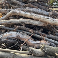 葡萄の木　薪の画像