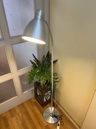 LED スタンドライト?