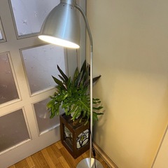 LED スタンドライト💡の画像