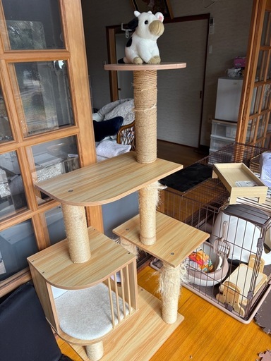 猫育成セット10種の神器