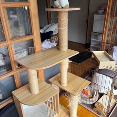 猫育成セット10種の神器の画像