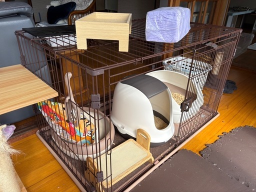 猫育成セット10種の神器