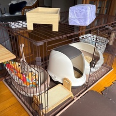 猫育成セット10種の神器の画像