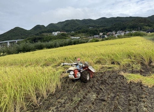 ?令和７年産‼️玄米３０kg?コシヒカリ